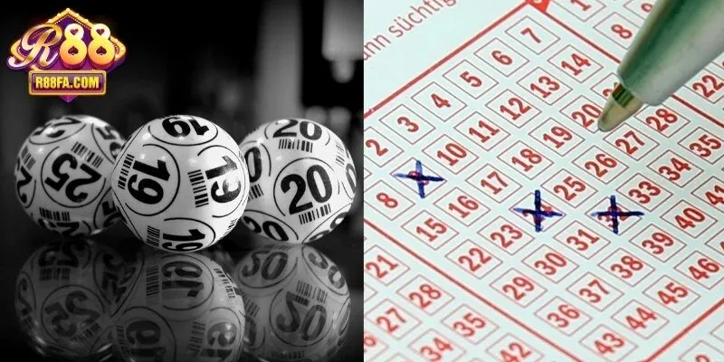 Nuôi an toàn theo khung 3-7 ngày giúp tối ưu cơ hội